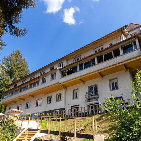 Le Chalet Du Lac Le Chatenet-en-Dognon Ngoại thất bức ảnh